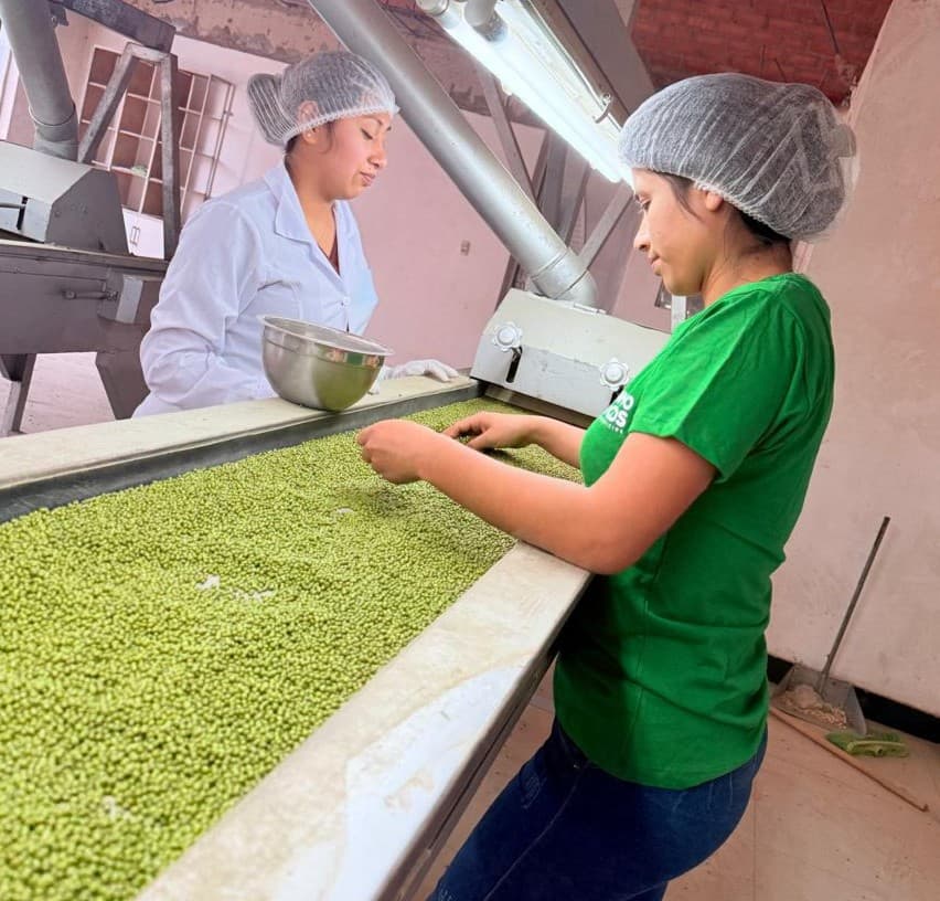 ¿Por qué la selección manual ya no es suficiente en la agroexportación?