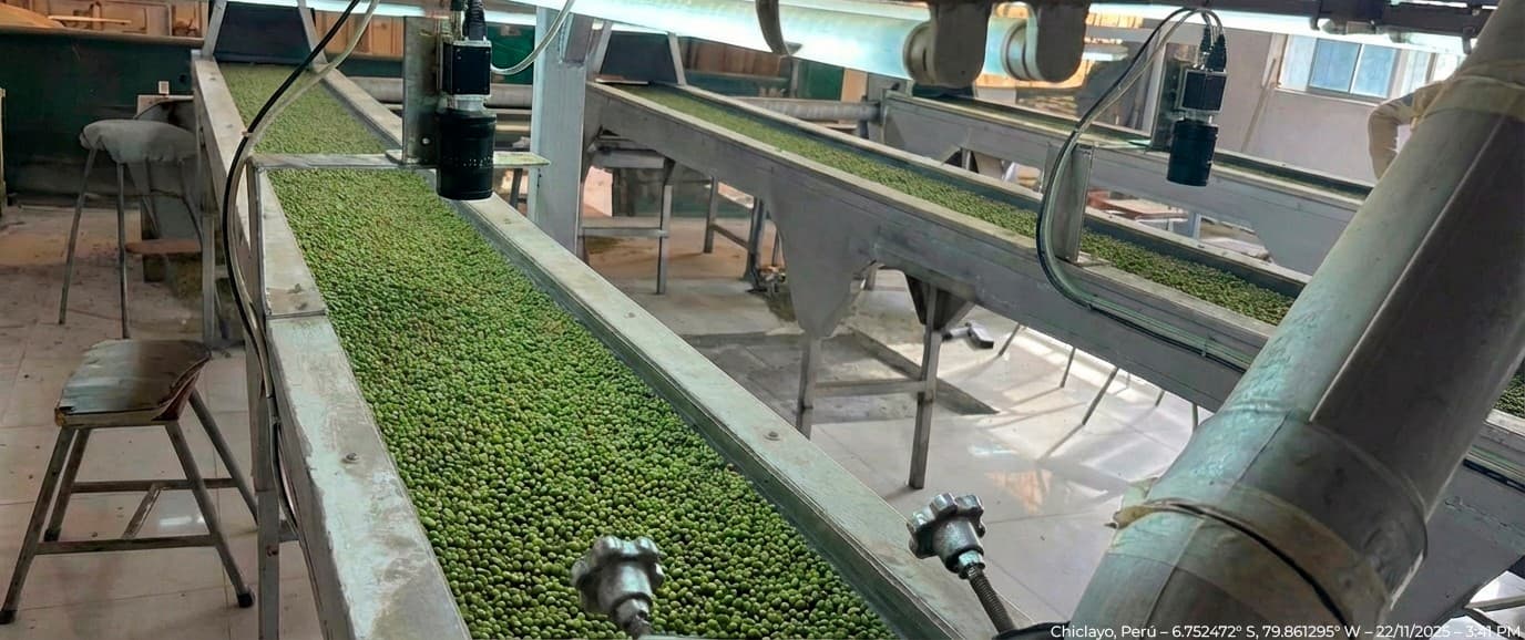 Desperdicio alimentario en Perú: el costo oculto que nadie calcula