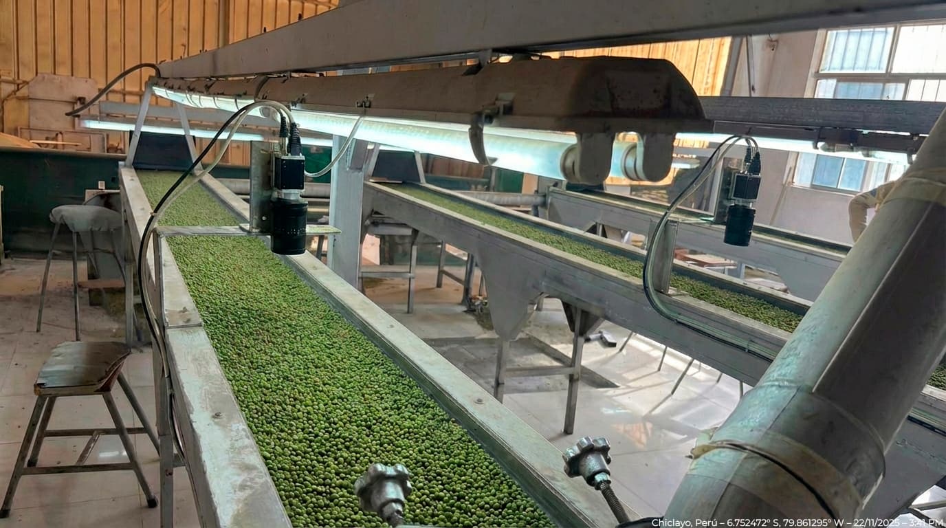 Desperdicio alimentario en Perú: el costo oculto que nadie calcula