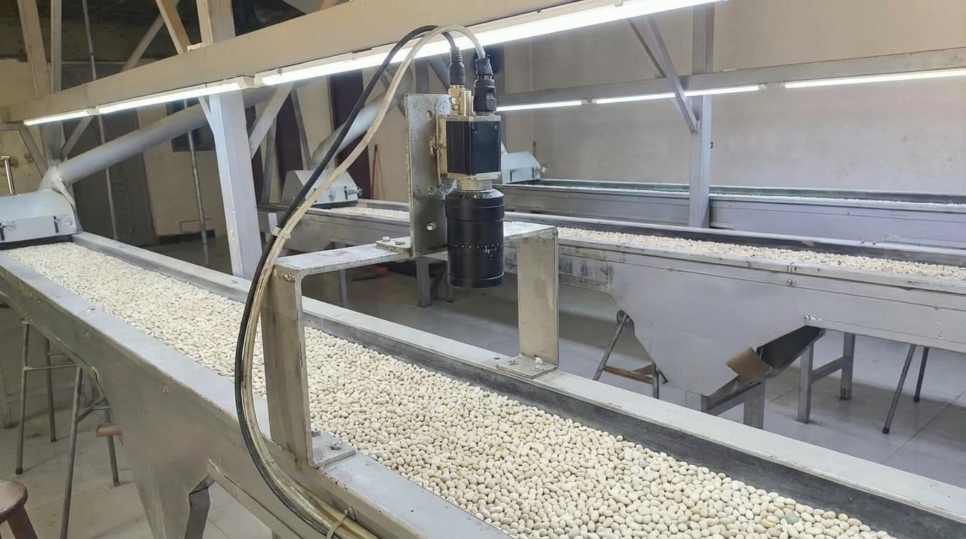 Selekta: cómo entrenamos nuestro sistema con más de 5 millones de imágenes