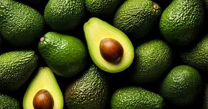 Palta Hass